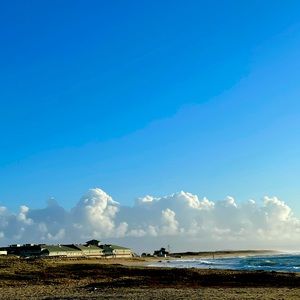 Meet your Posher, Mimi